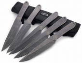 Набор ножей разделочных 5 шт Ножемир Баланс M-122LBS в чехле из кордуры от магазина SERREITOR.RU